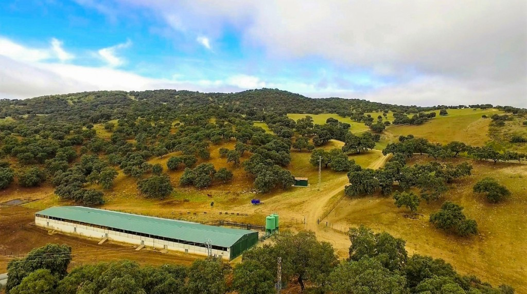 Property main view 15