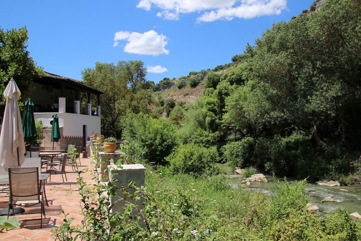 Finca - Cortijo in Ronda-1