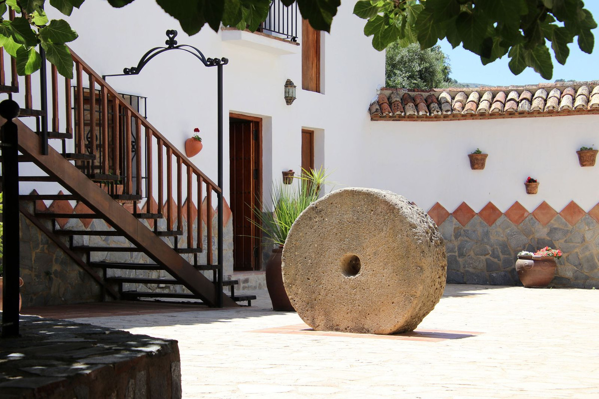 Finca - Cortijo in Ronda-10