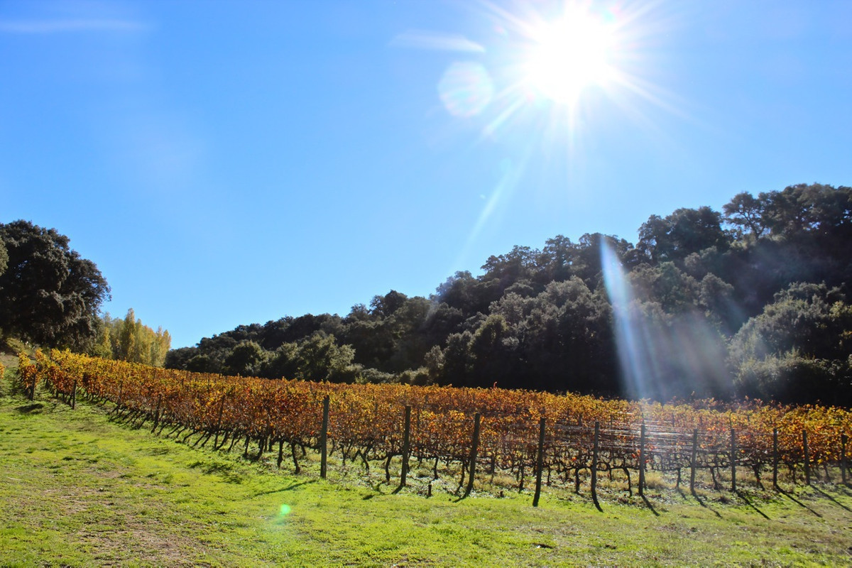 Property main view 11