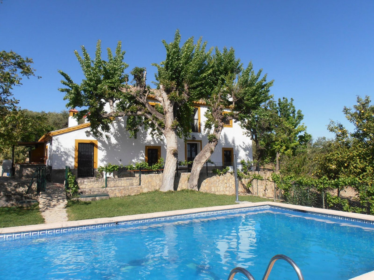 Finca - Cortijo in Ronda-12
