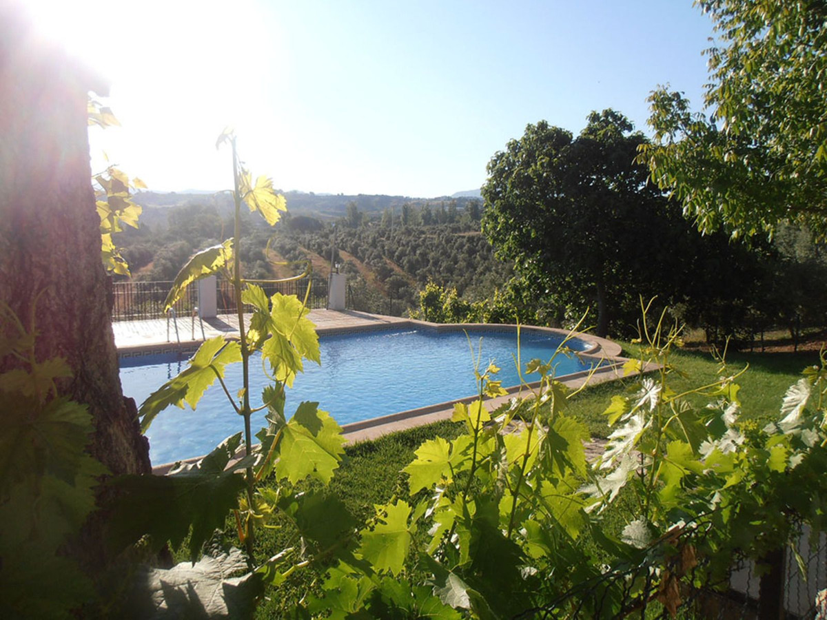 Finca - Cortijo in Ronda-16