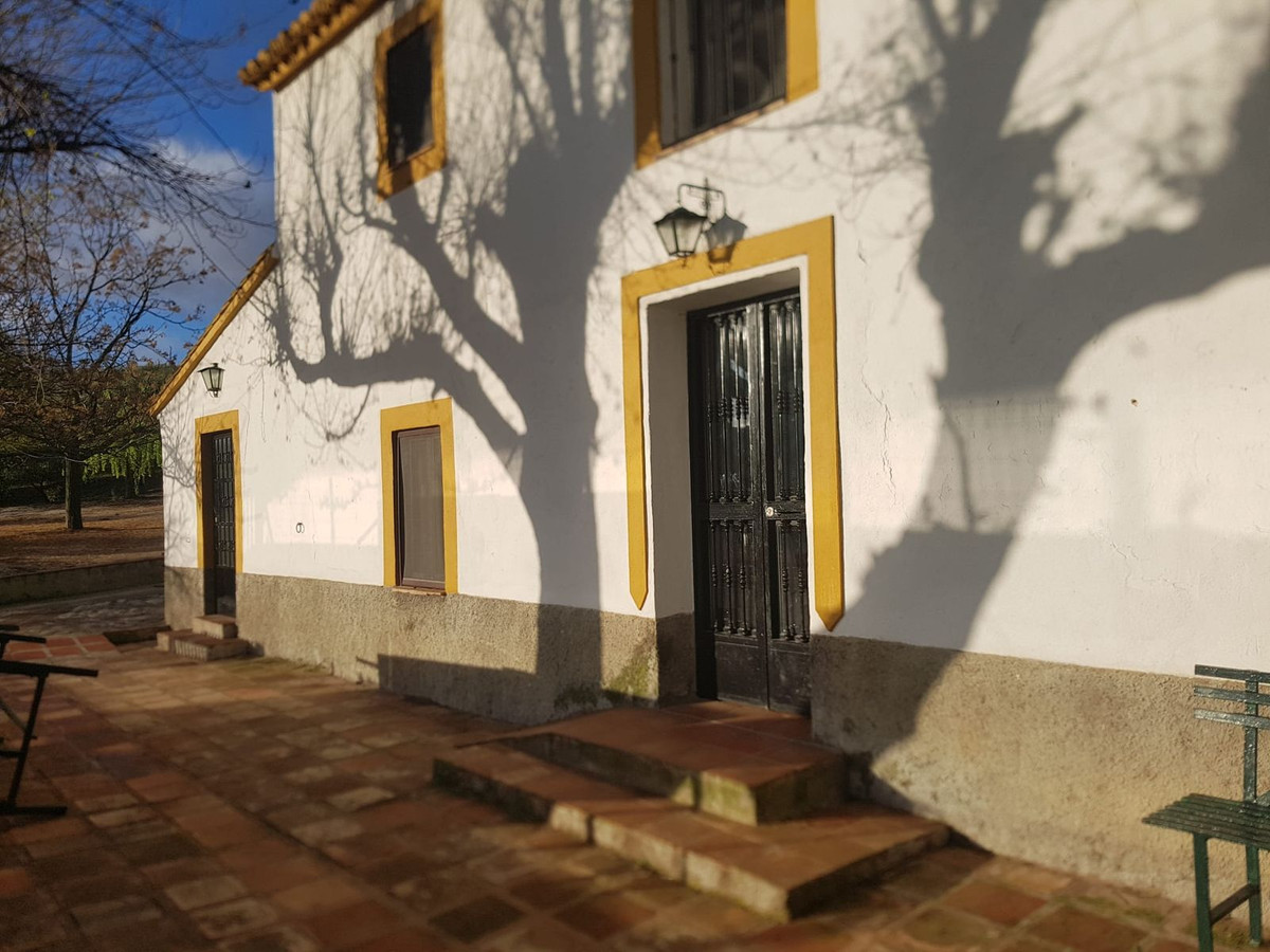 Finca - Cortijo in Ronda-2