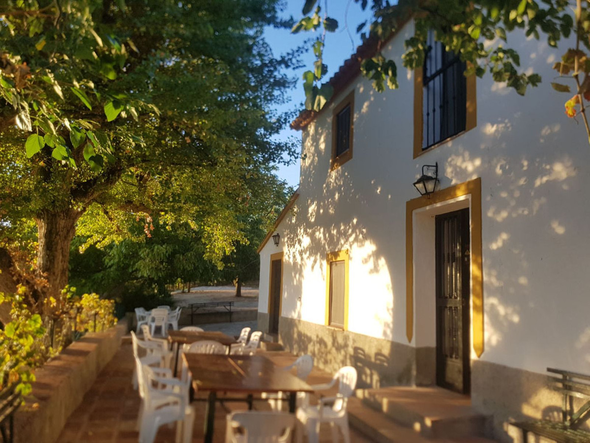 Finca - Cortijo in Ronda-26