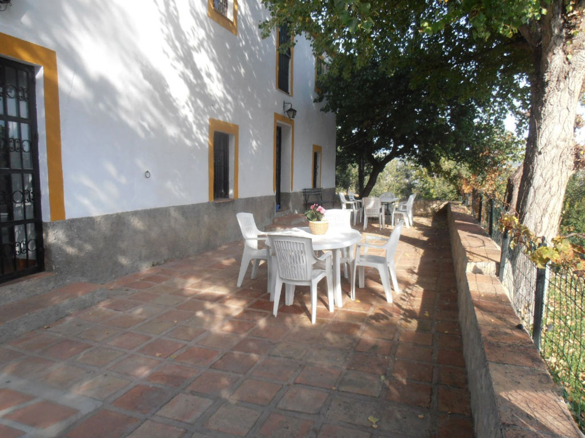 Finca - Cortijo in Ronda-29