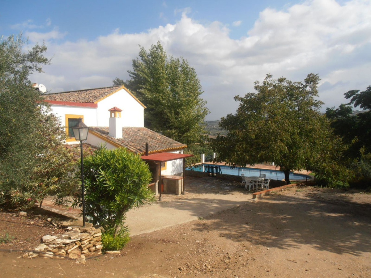 Finca - Cortijo in Ronda-31