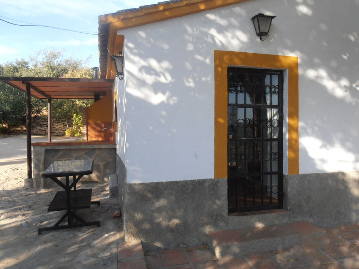 Finca - Cortijo in Ronda-35