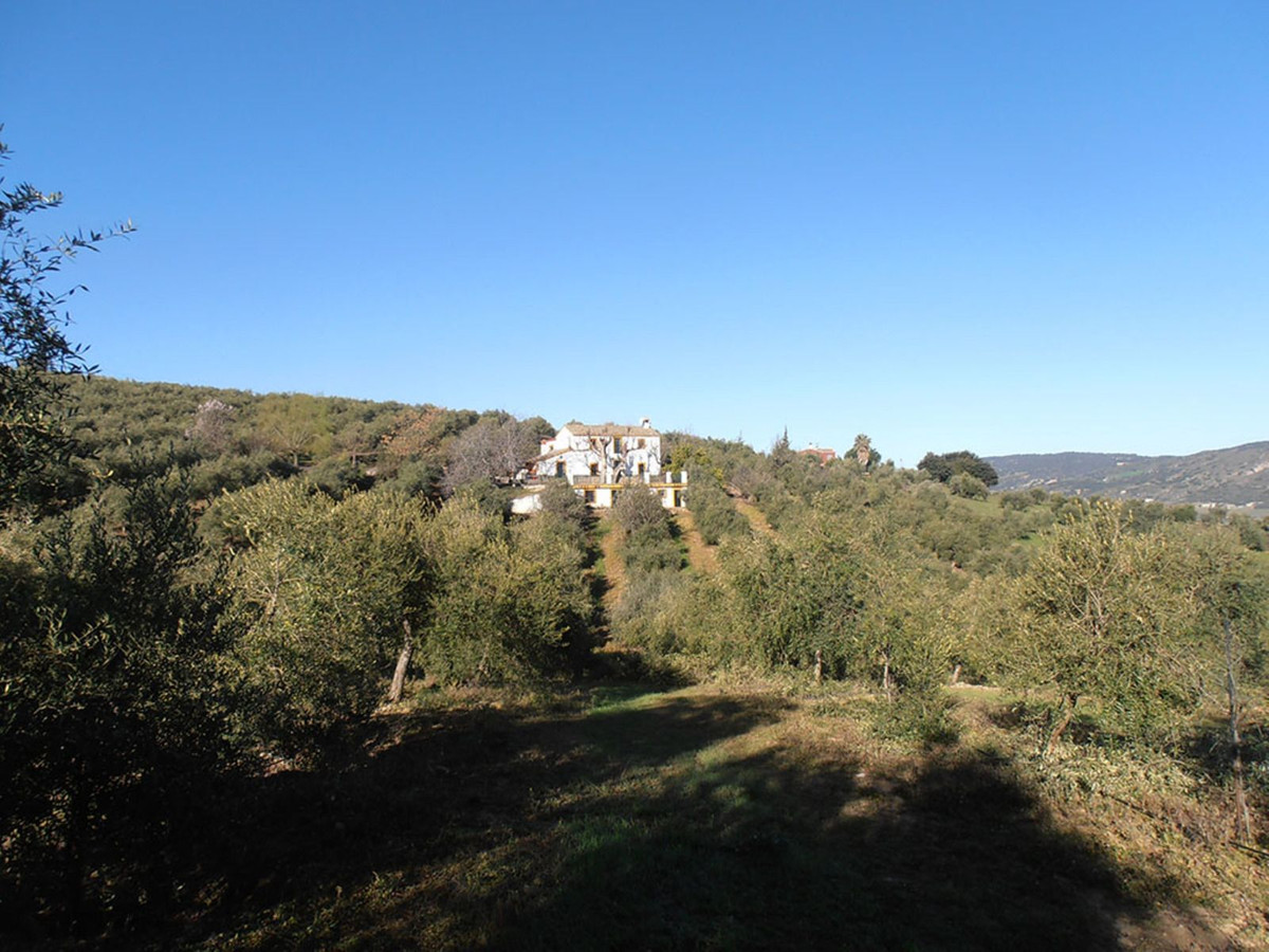 Finca - Cortijo in Ronda-40