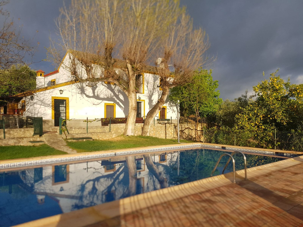 Finca - Cortijo in Ronda-5