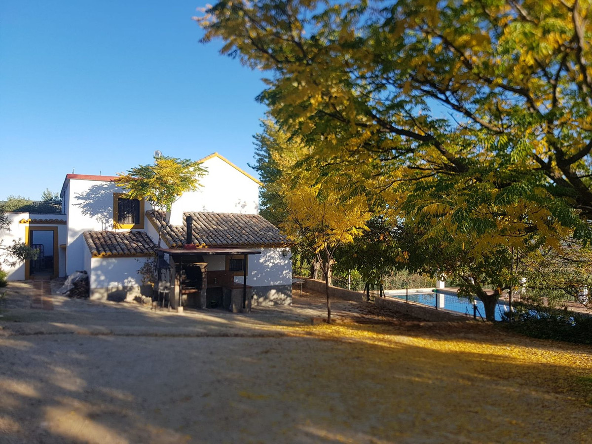 Finca - Cortijo in Ronda-6