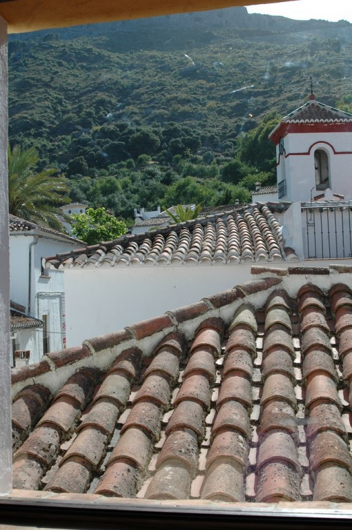 Finca - Cortijo in Ronda-5