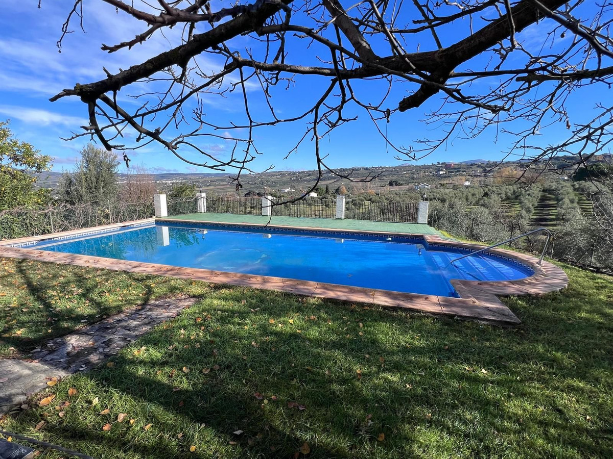 Finca - Cortijo in Ronda-1
