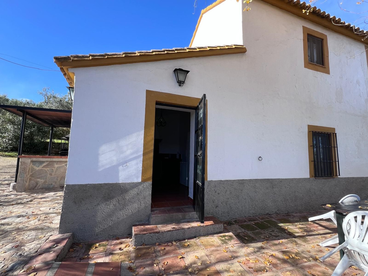 Finca - Cortijo in Ronda-2
