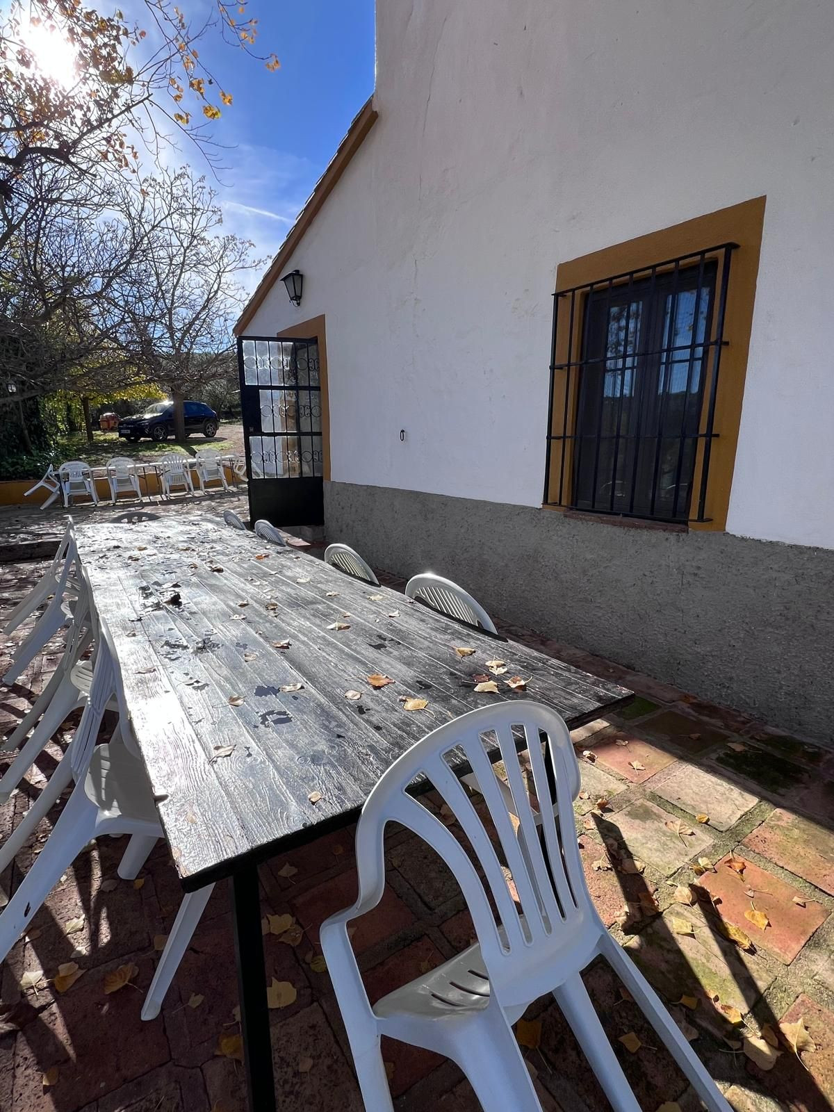 Finca - Cortijo in Ronda-26