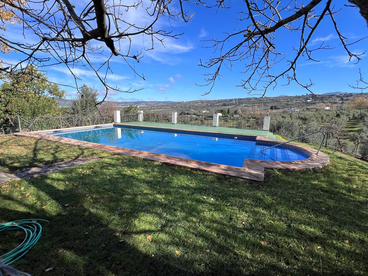 Finca - Cortijo in Ronda-30