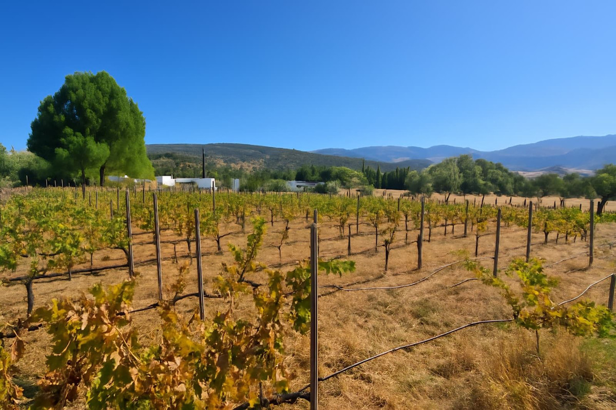 Property main view 30