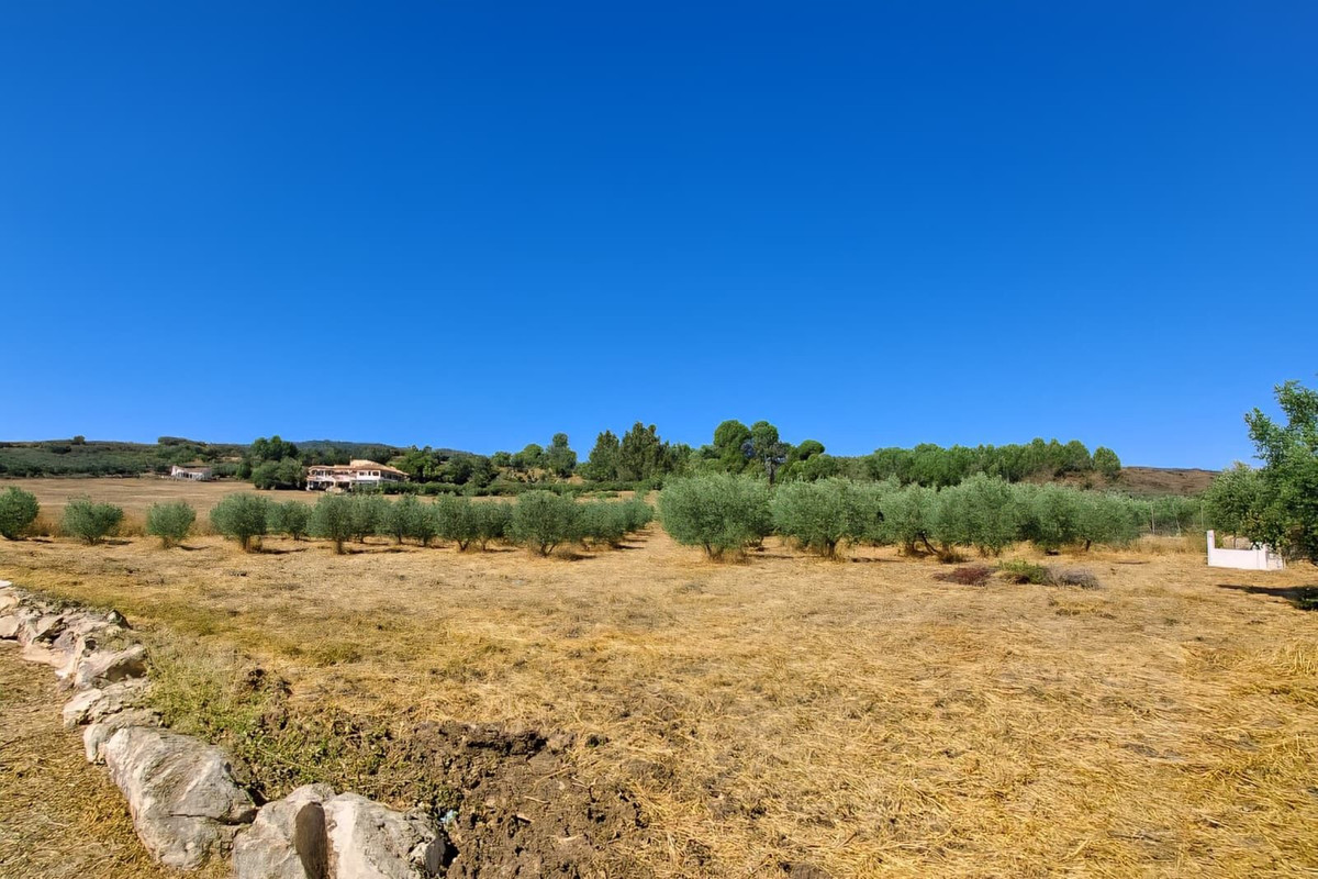 Property main view 37