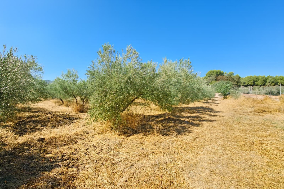 Property main view 38