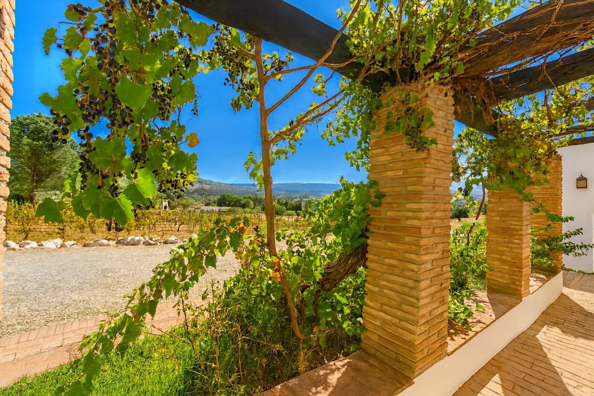 Property main view 39