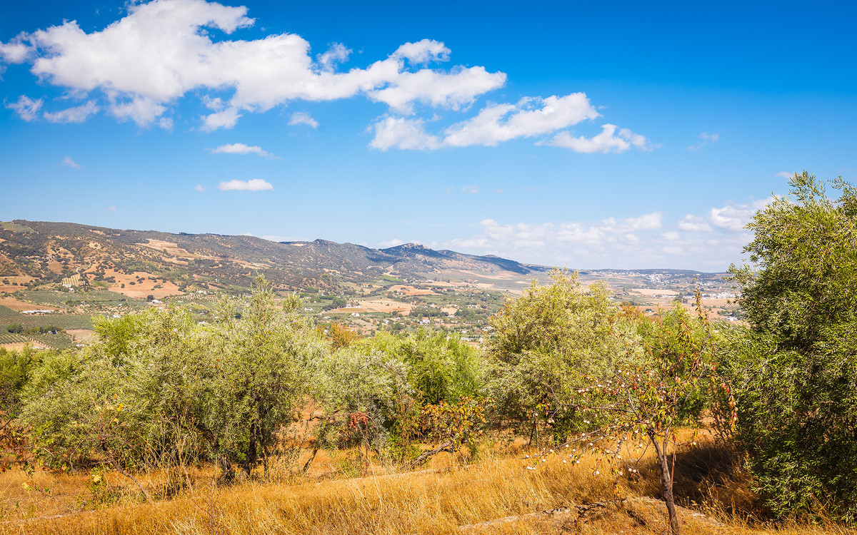 Property main view 31