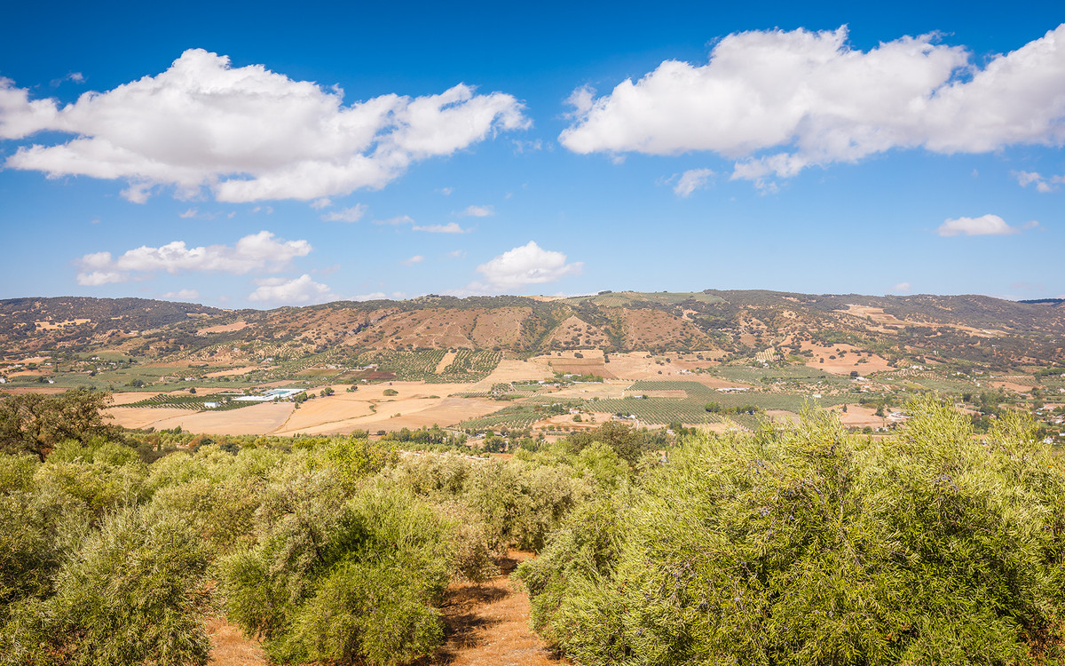 Property main view 38