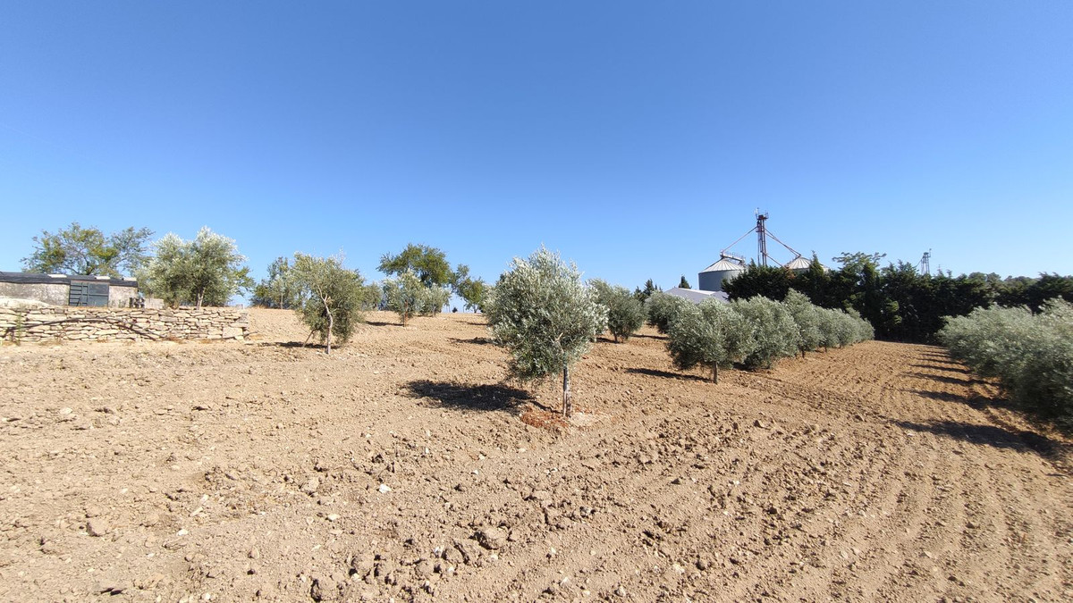 Property main view 13