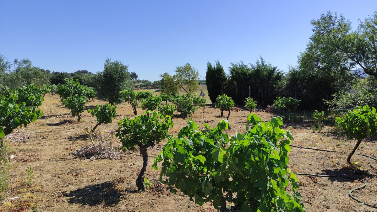 Property main view 14