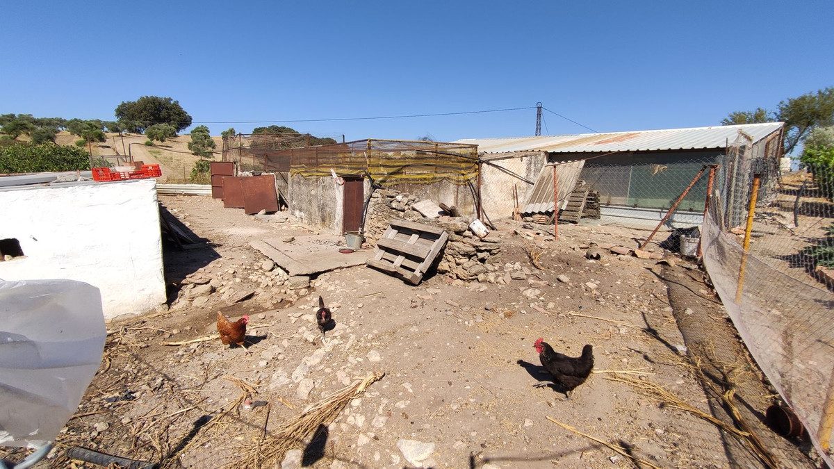 Property main view 17