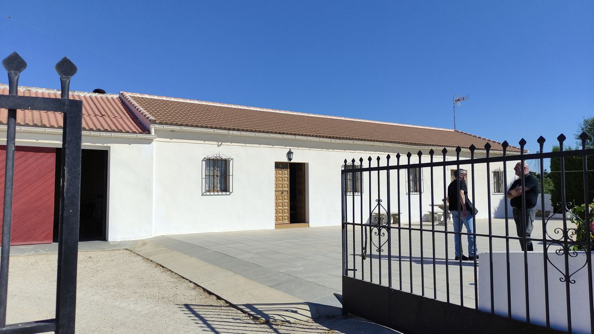 Property main view 41
