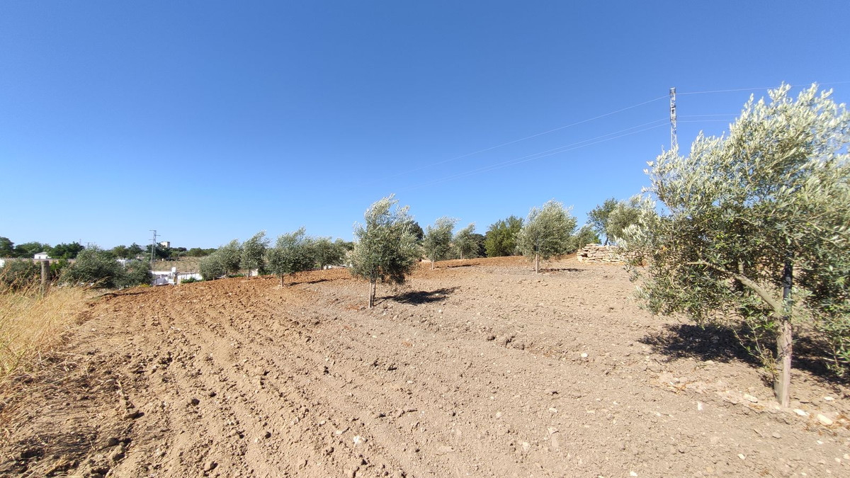 Property main view 42