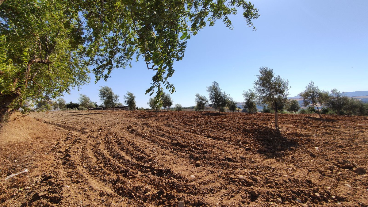 Property main view 9