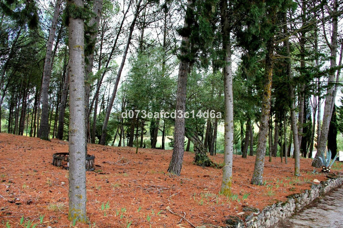 Vrijstaande Villa te koop in Ronda | 3 slaapkamers H5417674
