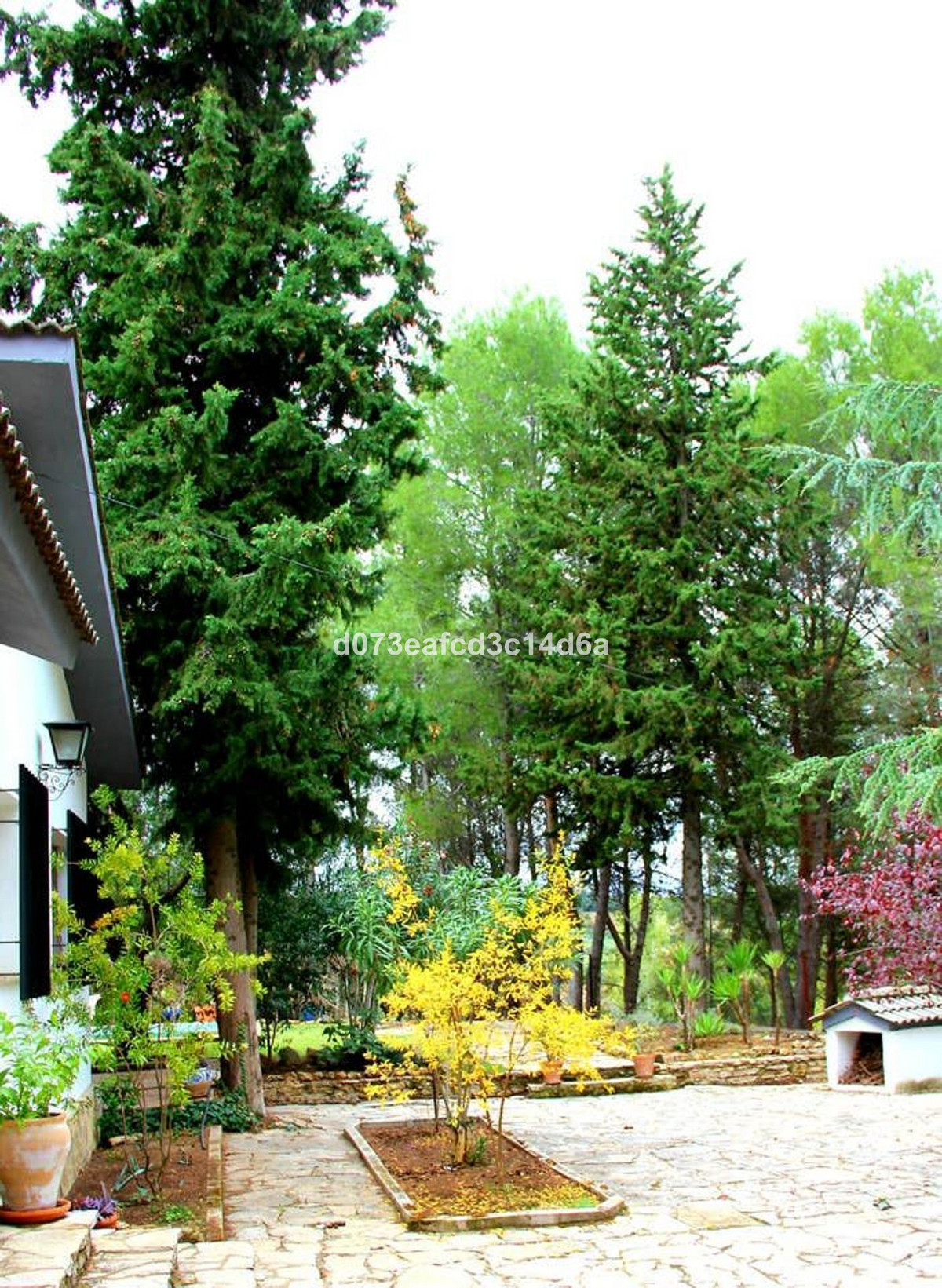 Vrijstaande Villa te koop in Ronda | 3 slaapkamers H5417674