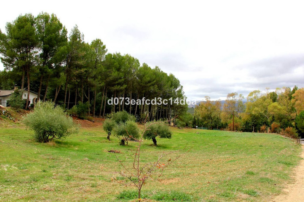 Vrijstaande Villa te koop in Ronda | 3 slaapkamers H5417674
