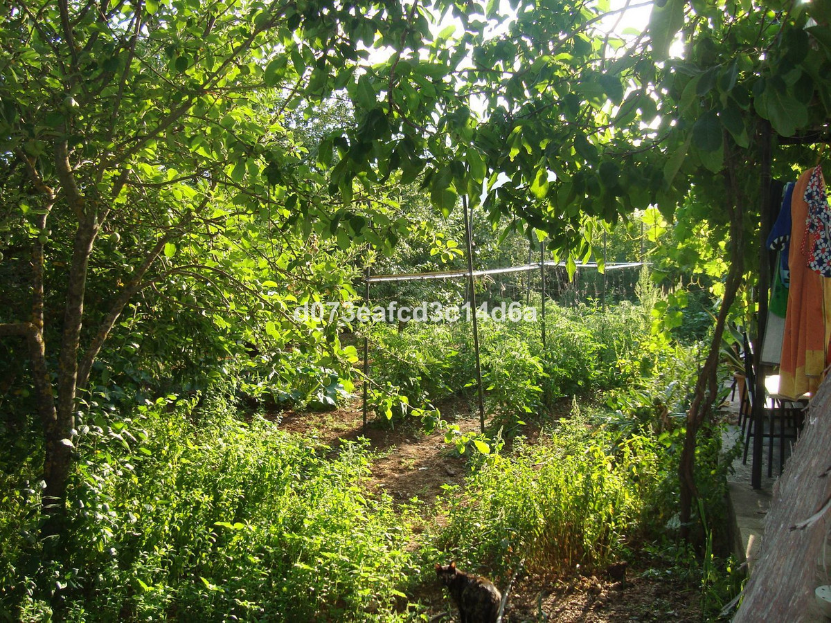 Finca - Cortijo te koop in Ronda | 6 slaapkamers H5417734