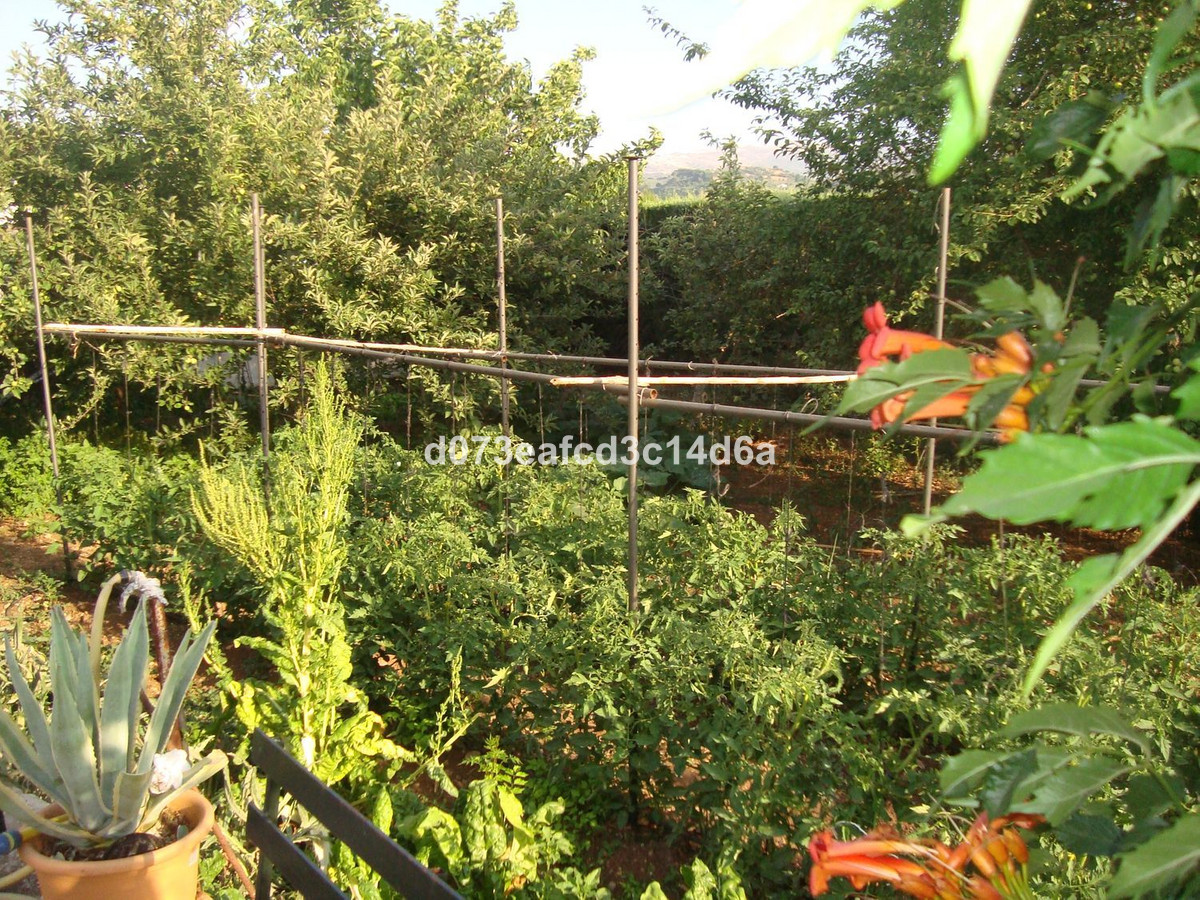 Finca - Cortijo te koop in Ronda | 6 slaapkamers H5417734