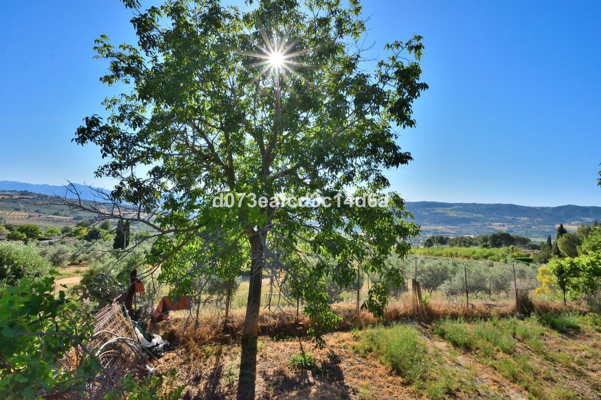 Finca - Cortijo te koop in Ronda | 3 slaapkamers H5417740