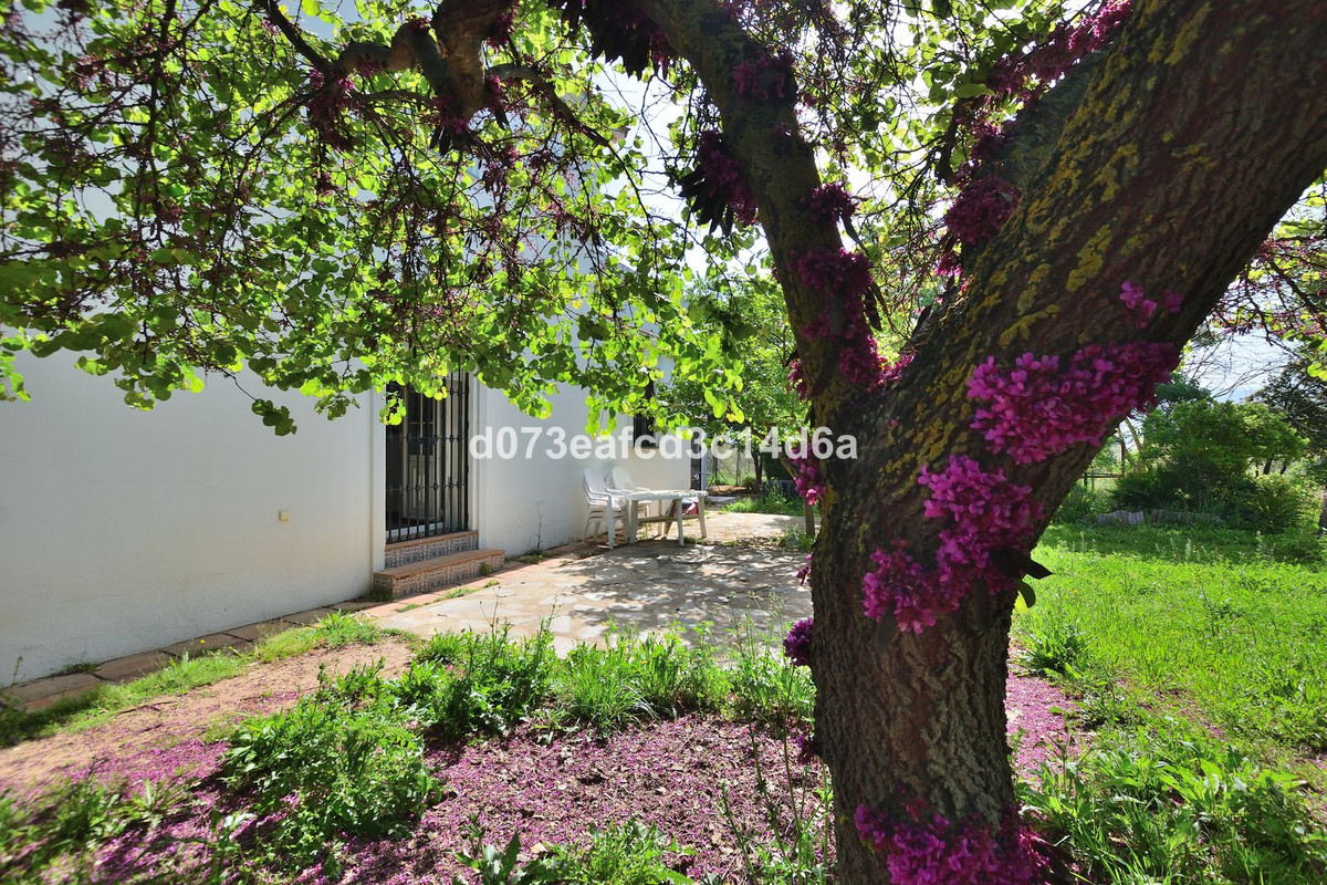 Vrijstaande Villa te koop in Ronda | 4 slaapkamers H5437555