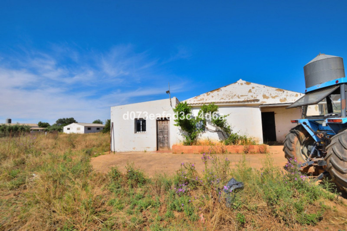 Finca - Cortijo te koop in Ronda | 1 slaapkamers H5438371