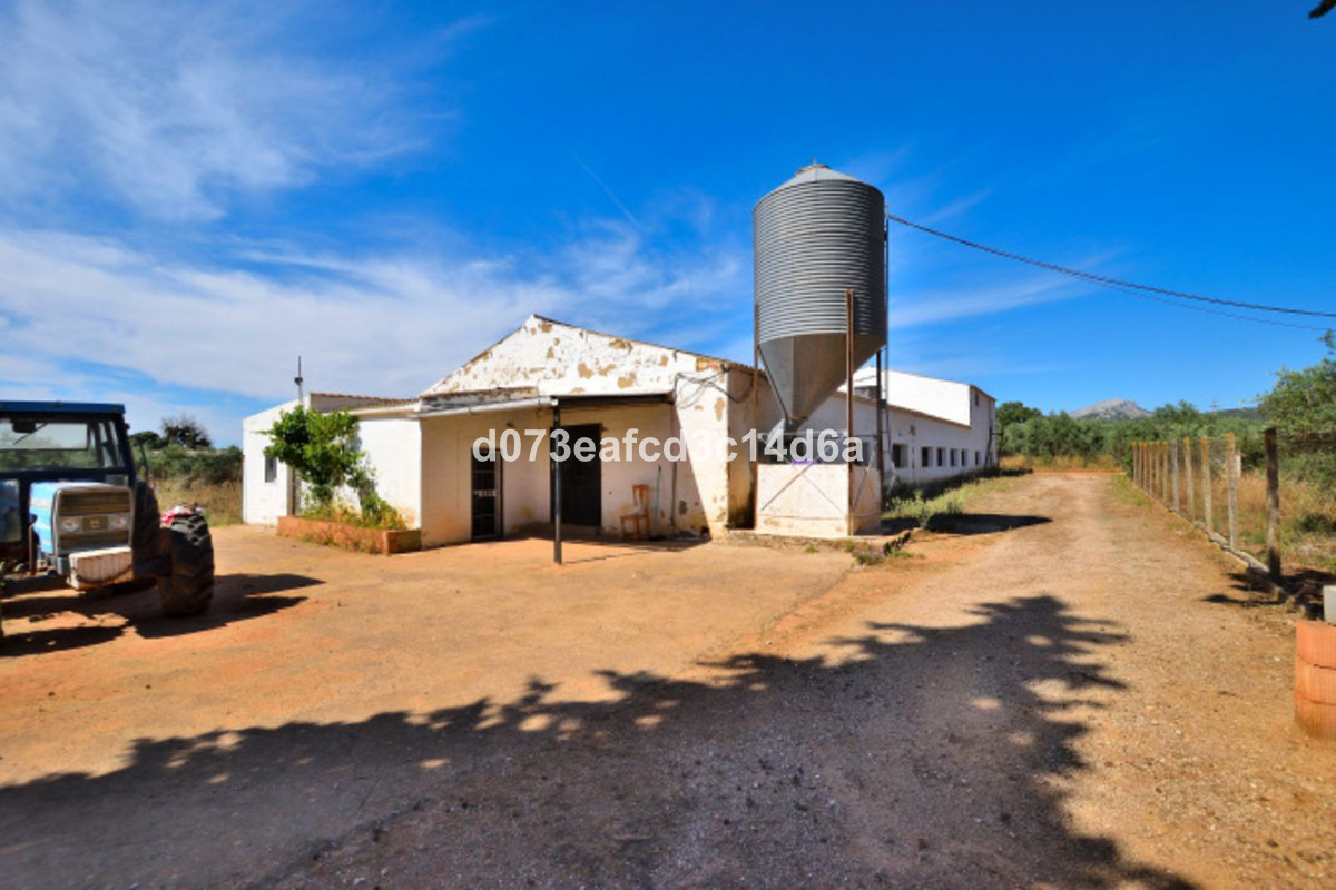 Finca - Cortijo te koop in Ronda | 1 slaapkamers H5438371