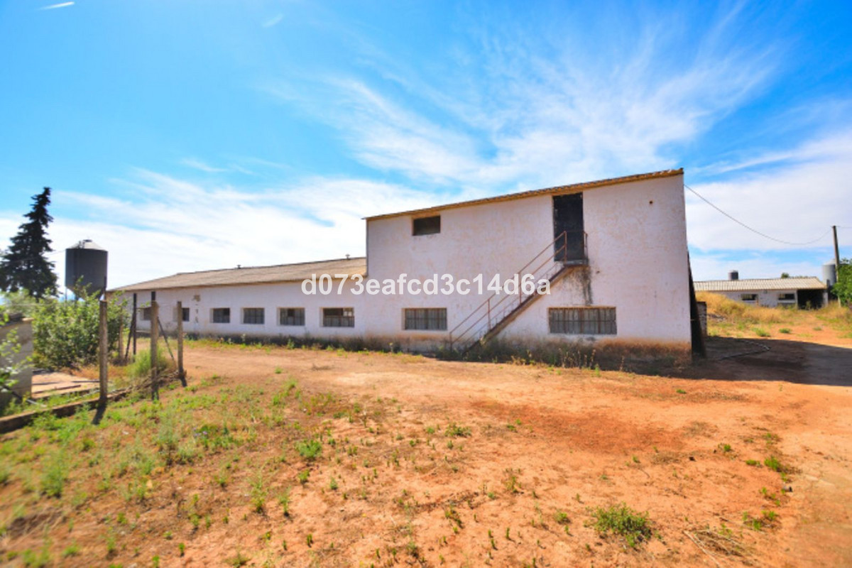 Finca - Cortijo te koop in Ronda | 1 slaapkamers H5438371