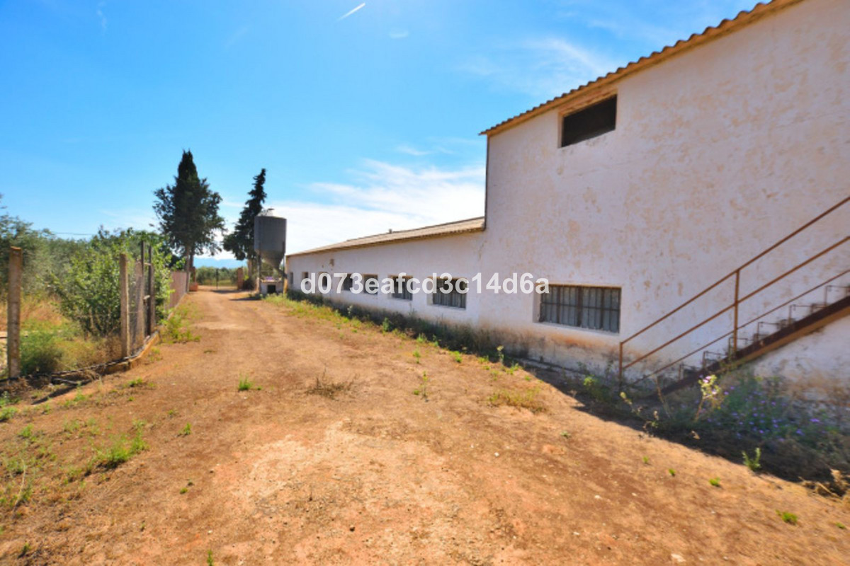Finca - Cortijo te koop in Ronda | 1 slaapkamers H5438371