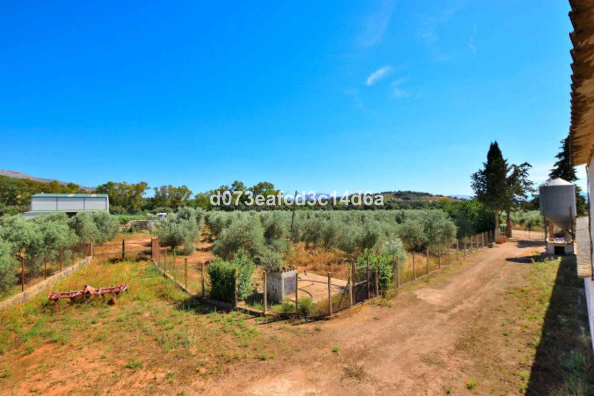Finca - Cortijo te koop in Ronda | 1 slaapkamers H5438371