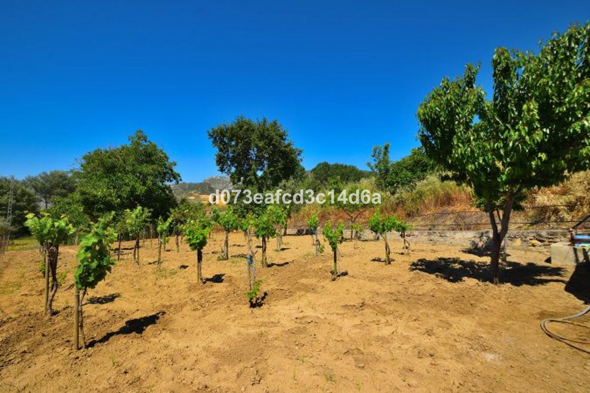 Vrijstaande Villa te koop in Ronda | 1 slaapkamers H5448604