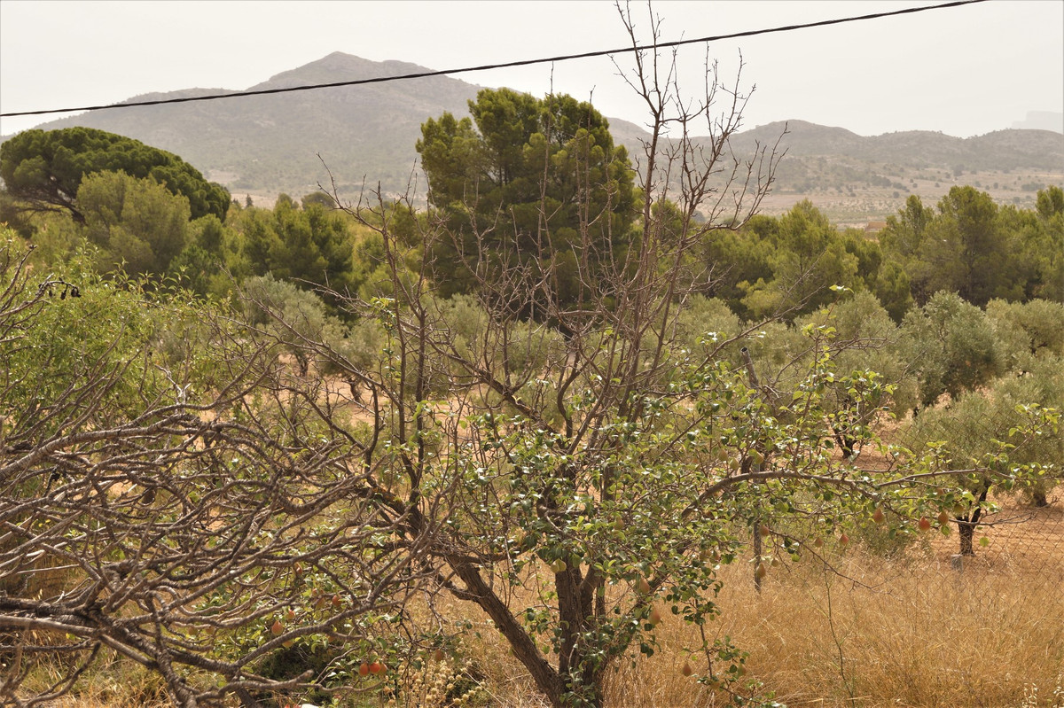 Property main view 10