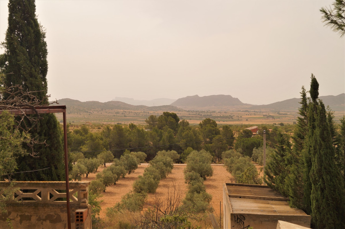 Property main view 19