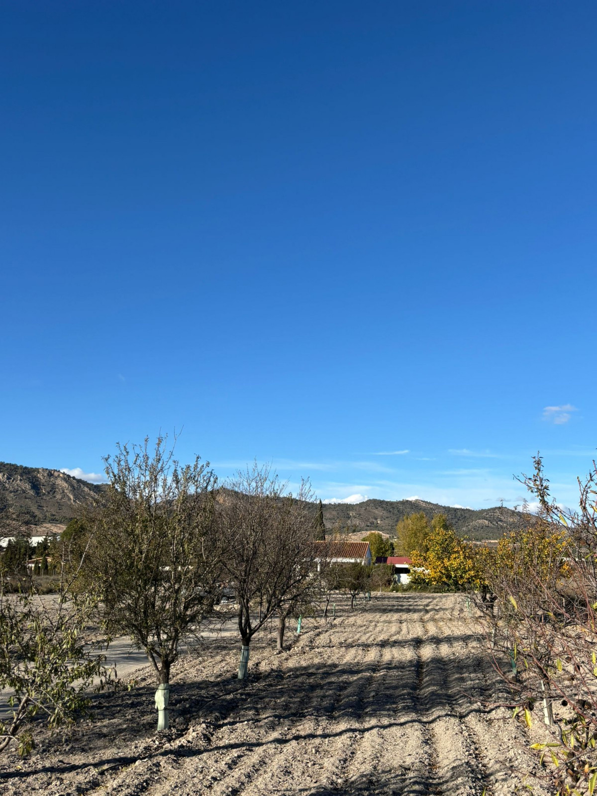 Property main view 18