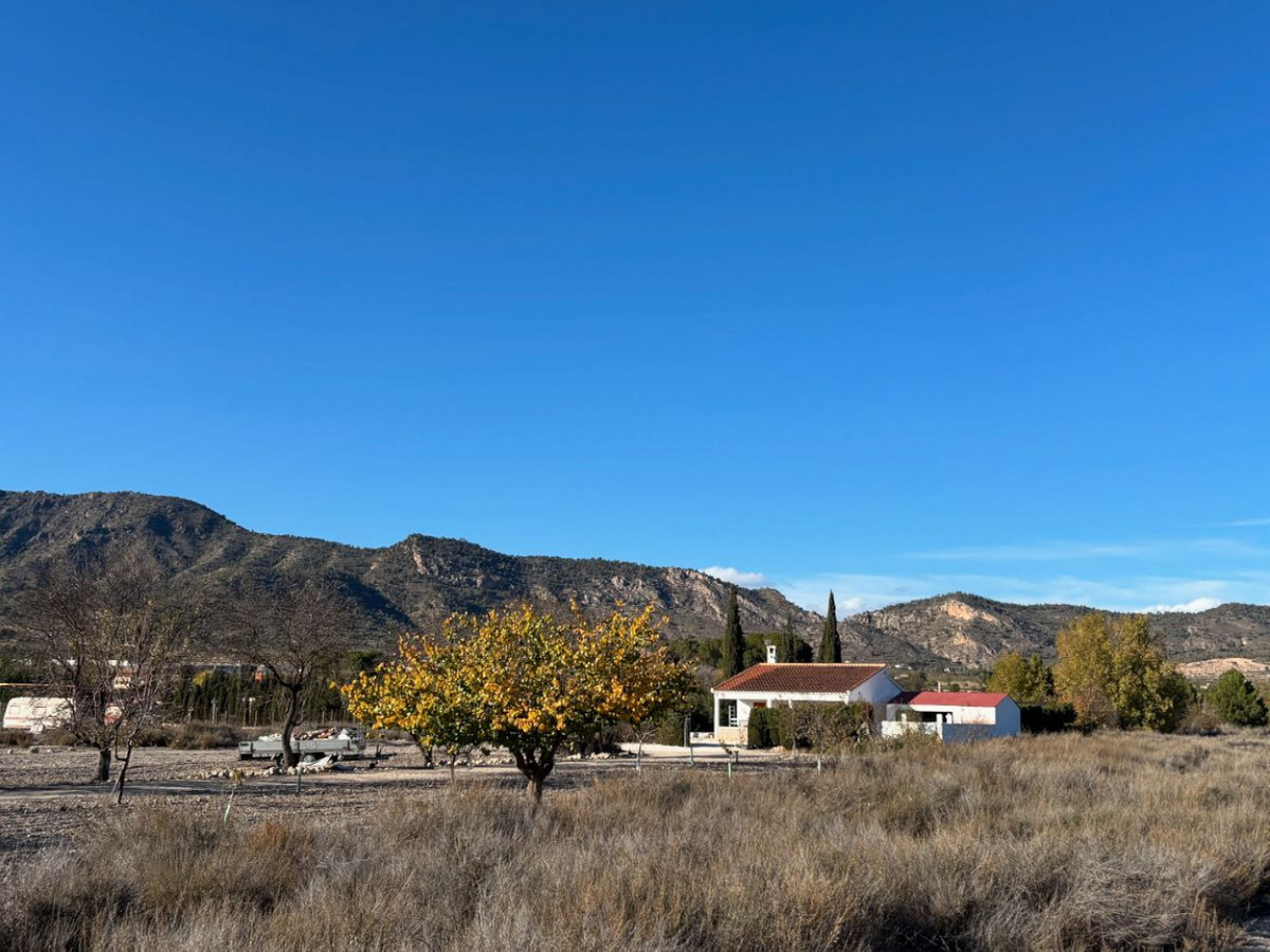 Property main view 21