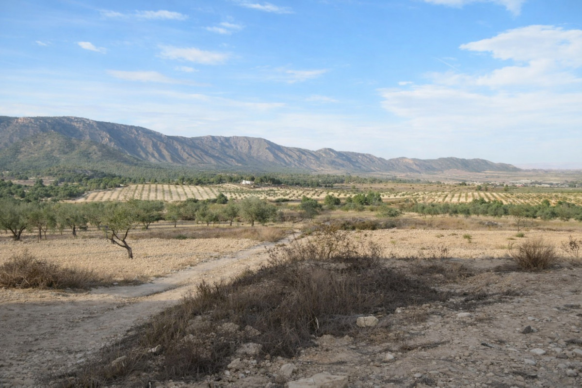 Property main view 11