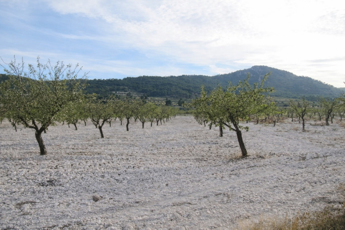 Property main view 3